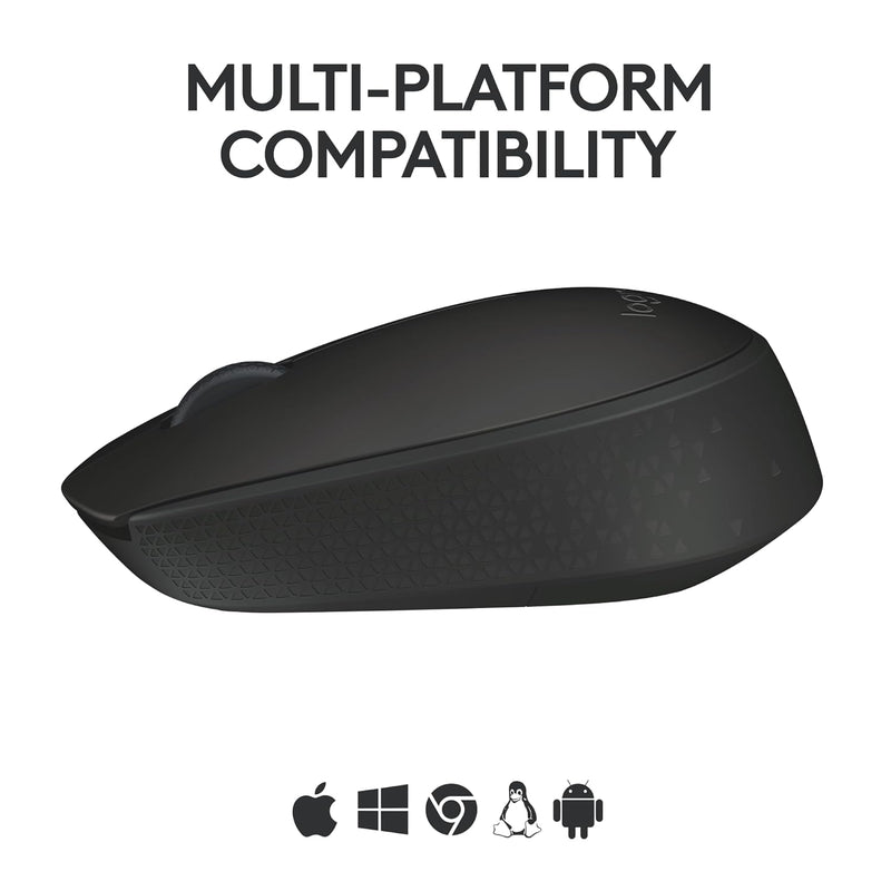 Maus Logitech B170