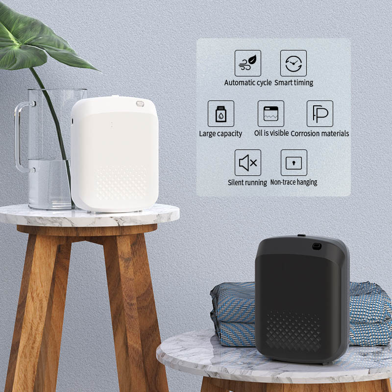 Air Cleaner Earldom C01