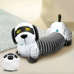 Smart Dog Collar GPS